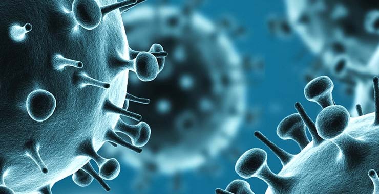 The best steps to prevent the H1N1 virus flu?